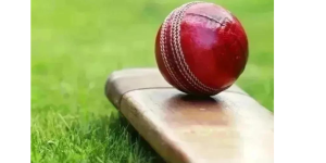 RCD vs TT Live Score, Red Carpet Delhi vs Telangana Tigers Live Cricket Score, 15th Match, Indian Veterans Premier League 2024