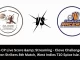 CC vs CP Live Score: The upcoming match between Clove Challengers (CC) vs Cinnamon Pacers (CP) at the West Indies T10 Spice Isle, 2024
