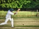 Cricket battting