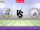 NY vs TEX Live Cricket Score USA T20 Cricket League, 2024