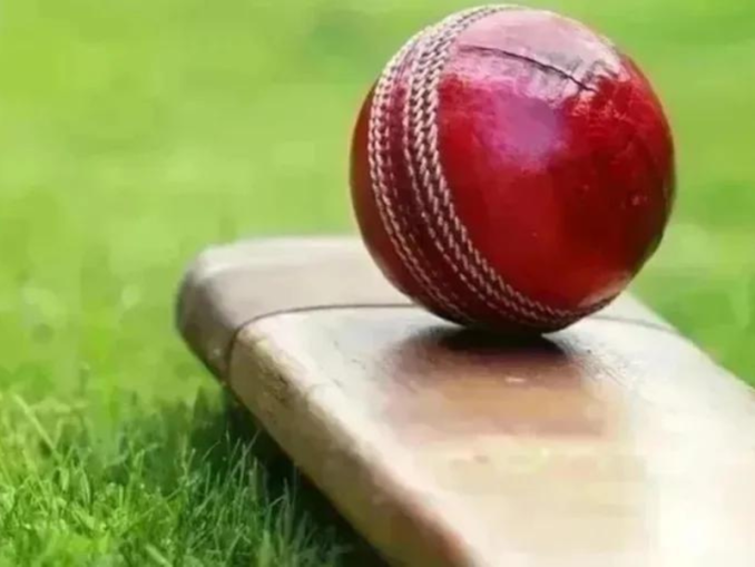 NAM vs PUN Dream11 Prediction Today Match, Dream11 Team Today, Fantasy Cricket Tips, Pitch Report, & Player Stats, Punjab tour of Namibia, 2024, 1st unofficial ODI Match
