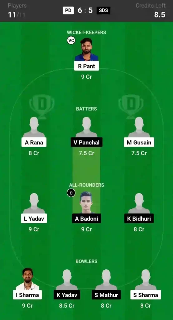 PD vs SDS Dream11 Prediction Today: Match 1 Pitch Report, and Player Stats | Delhi T20 League, 2024