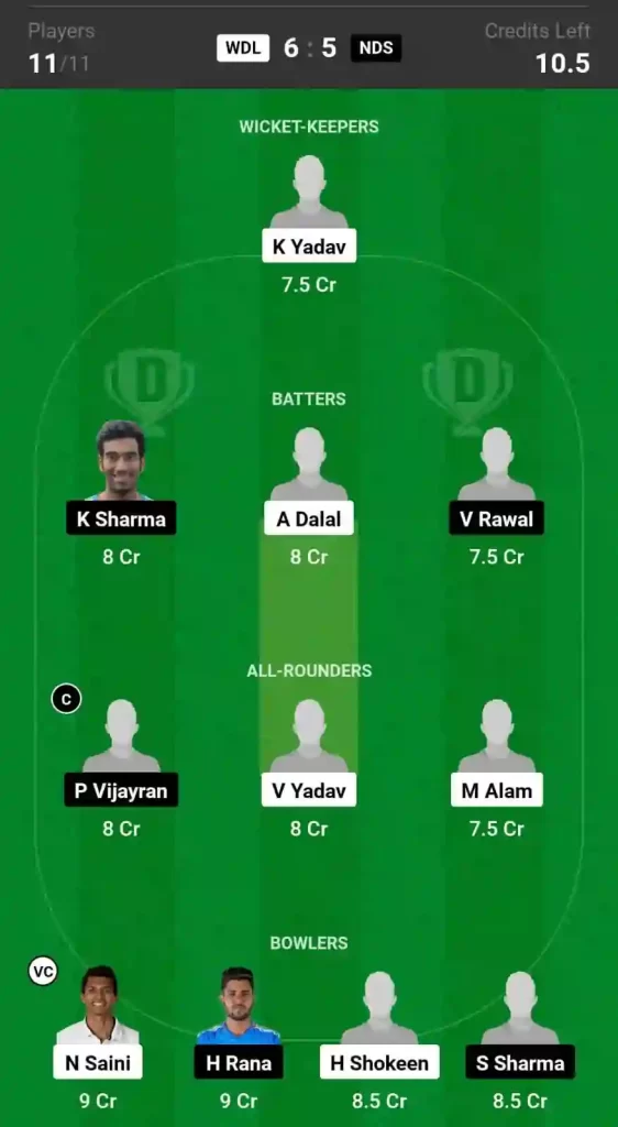 WDL vs NDS Dream11 Prediction Today: Match 3 Pitch Report & Stats - Delhi T20 League 2024