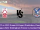 NOT vs CRY Dream11 Expert Prediction, Premier League 2024 Nottingham Forest vs Crystal Palace Match Prediction