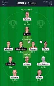 NSW-W vs VCT-W Dream11 Prediction Today: Match 8 Pitch Report, and Key Player | Australian Women's ODD 2024