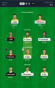 WAU vs TAS Dream11 Prediction Today: 10th Match Pitch Report, and Key Player | Australian Men's ODD 2024