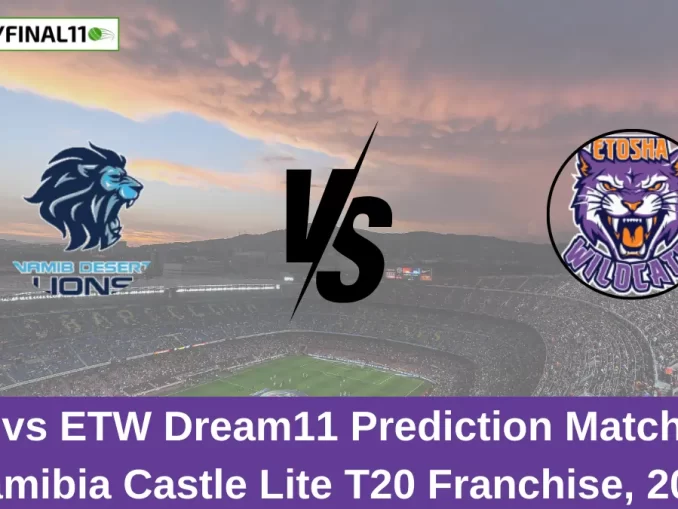 NL vs ETW Live SCORE Match 10, Namibia Castle Lite T20 Franchise, 2024